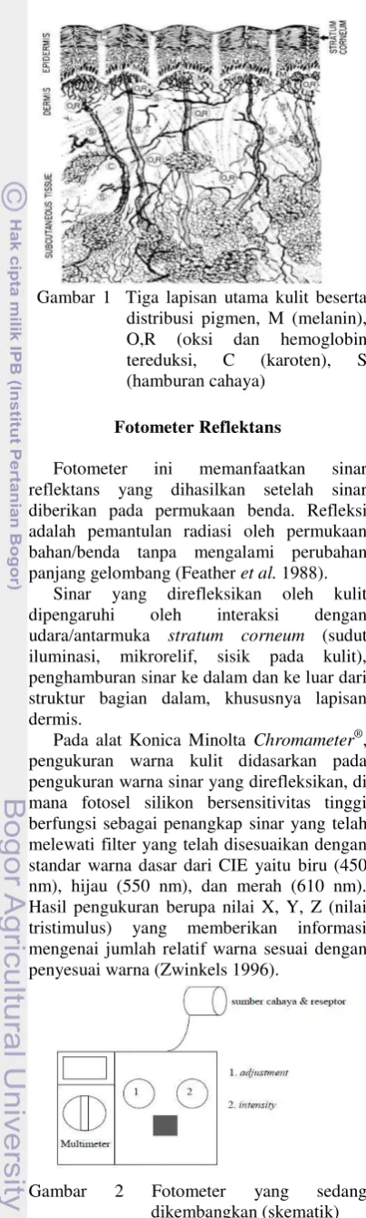 Gambar 2 