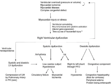 Gambar 2.4 Pathophysiology of right ventricular failure 