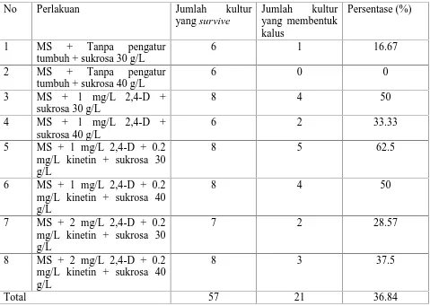 Tabel 1.  Persentasi kultur yang membentuk kalus pada eksplan stek batang ubi jalar ungudengan perlakuan 2,4D dan sukrosa
