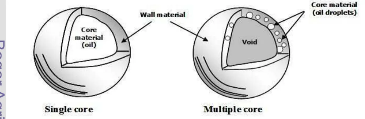 Gambar 3.   Dua jenis struktur utama mikroenkapsulasi 