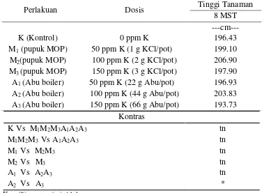 Tabel 4.  Pemberian Abu Boiler dan MOP sebagai Sumber Unsur K terhadap Tinggi Tanaman pada akhir masa vegetatif (8MST) 