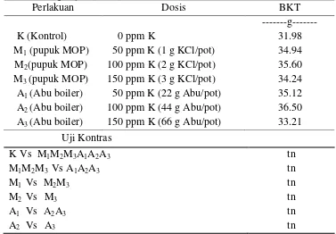 Tabel 6. Pemberian Abu Boiler dan MOP sebagai Sumber Unsur K terhadap Berat Kering Tajuk (BKT) 
