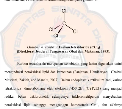 Gambar 4. Struktur karbon tetraklorida (CCl4) (Direktorat Jenderal Pengawasan Obat dan Makanan, 1995)