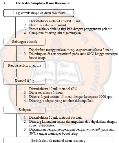Gambar 7. Skema ekstraksi simplisia daun rosemary (Abe, dkk., 2002). 