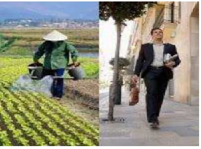 Gambar 9. Mobilitas intragenerasi 