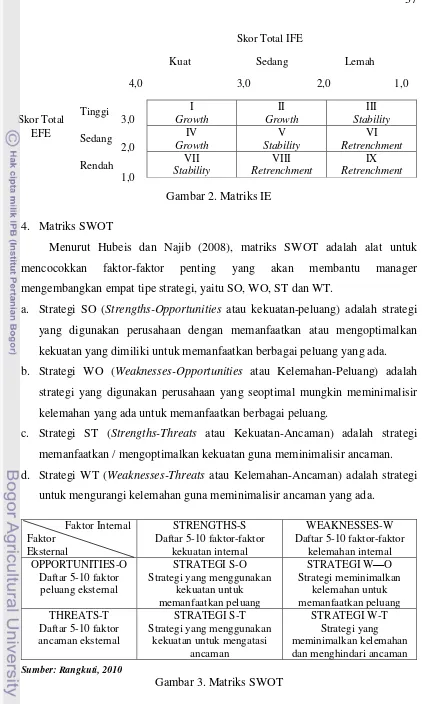 Gambar 2. Matriks IE 