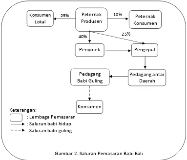Gambar 2. Saluran Pemasaran Babi Bali 