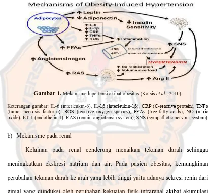 Gambar 1. Mekanisme hipertensi akibat obesitas (Kotsis et al., 2010).  