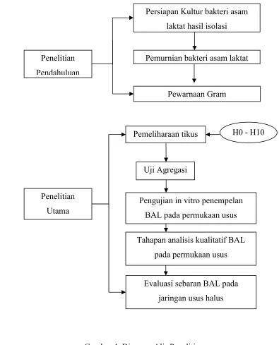 Gambar 4. Diagram Alir Penelitian 
