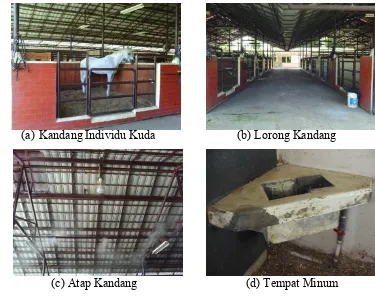 Gambar 6. Keadaan Kandang Kuda di Nusantara Polo Club 