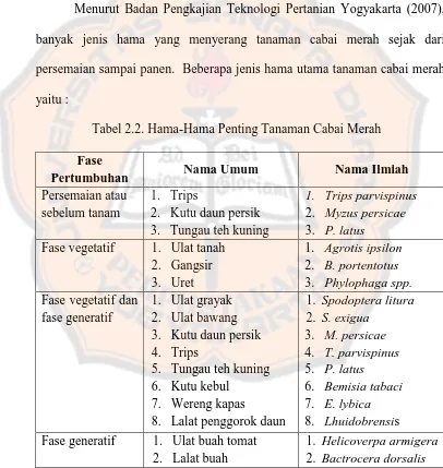 Tabel 2.2. Hama-Hama Penting Tanaman Cabai Merah 