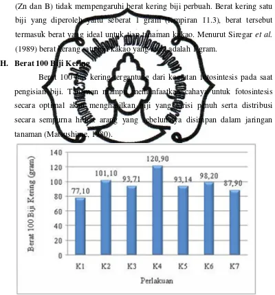 Gambar 8. Pengaruh aplikasi NAA dan unsur mikro (Zn dan B) terhadap berat 100 biji kering