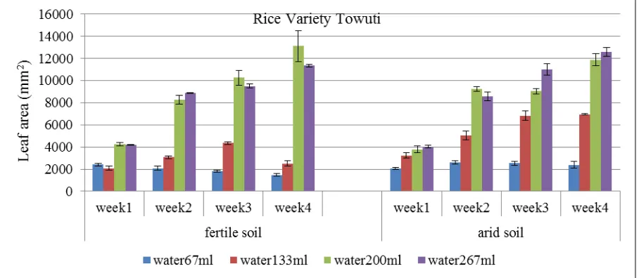 Figure 2. Leaf area of Ciherang variety grown in different watering treatments in fertile soil and arid soil during four weeks of observation 