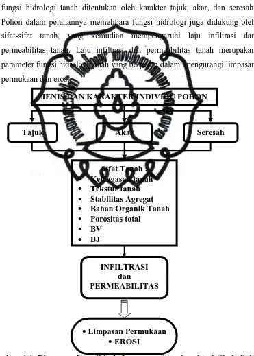 Gambar 1.1 Diagram alur pikir hubungan antara karakteristik individu commit to user pohon dengan laju infiltrasi dan permeabilitas tanah 