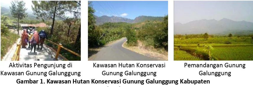 Gambar 1. Kawasan Hutan Konservasi Gunung Galunggung Kabupaten