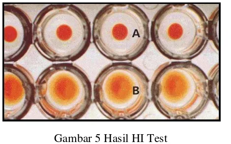 Gambar 5 Hasil HI Test 