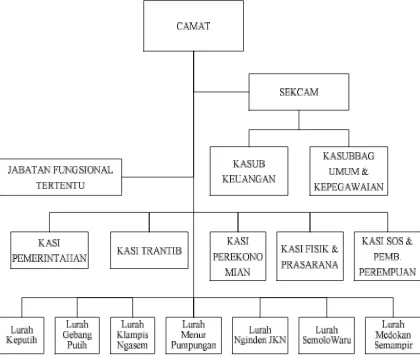 Gambar 4.1 Struktur Jabatan Organisasi Pemerintah Kecamatan Sukolilo 