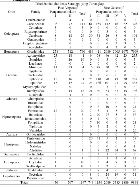 Tabel Jumlah dan Jenis Serangga yang Tertangkap 