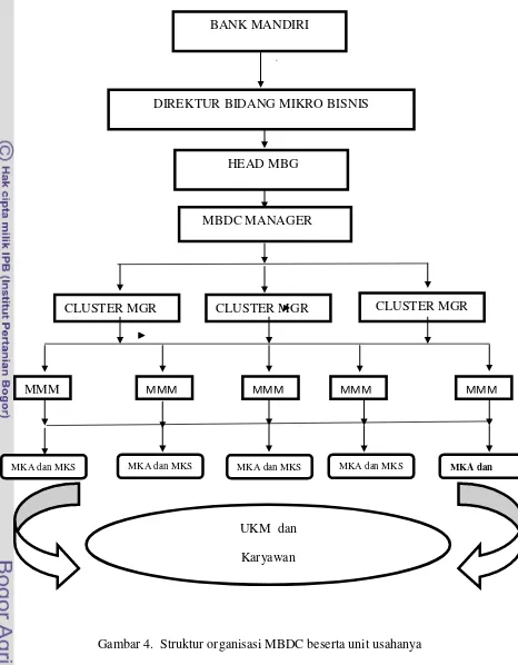 Gambar 4.  Struktur organisasi MBDC beserta unit usahanya 
