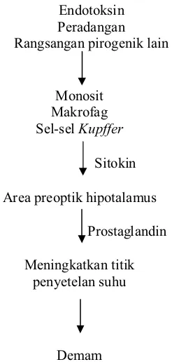 Gambar 1. Patogenesis Demam (Ganong, 2002)