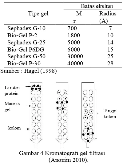 Tabel 2 Ukuran protein minimum yang dapat dipisahkan oleh matrik gel 