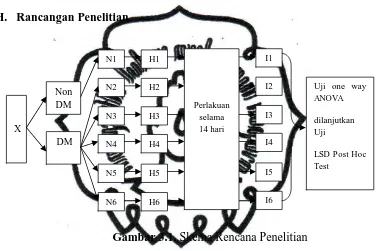Gambar 3.1. Skema Rencana Penelitian 