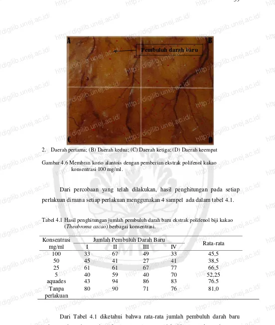 Gambar 4.6 Membran korio alantois dengan pemberian ekstrak polifenol kakao Daerah pertama; (B) Daerah kedua; (C) Daerah ketiga; (D) Daerah keempat http://digilib.unej.ac.id/konsentrasi 100 mg/ml