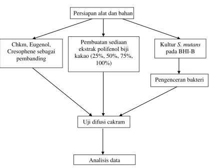Gambar 3.1 Bagan alur penelitian 