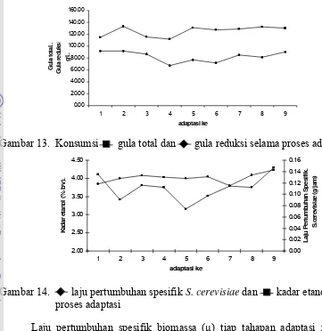Gambar 14.        laju pertumbuhan spesifik S. cerevisiae dan       kadar etanol selama 