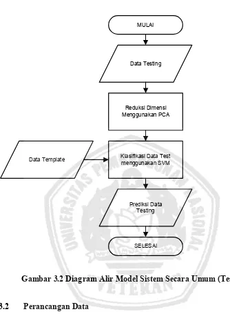 Gambar 3.2 Diagram Alir Model Sistem Secara Umum (Testing) 