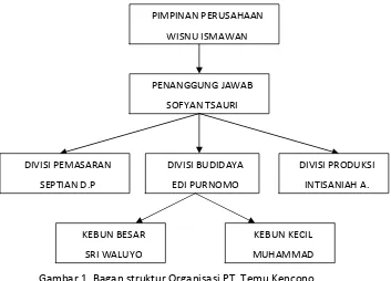 Gambar 1. Bagan struktur Organisasi PT. Temu Kencono 