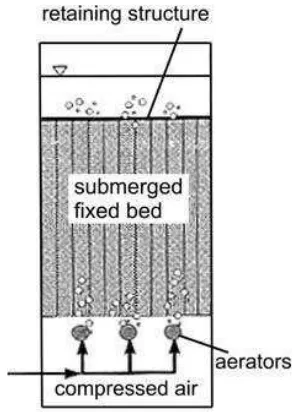 Gambar 1. Aerated  Fixed Bed Reactor Terendam  (Sumber: Schulz dan Menningmann 1999). 
