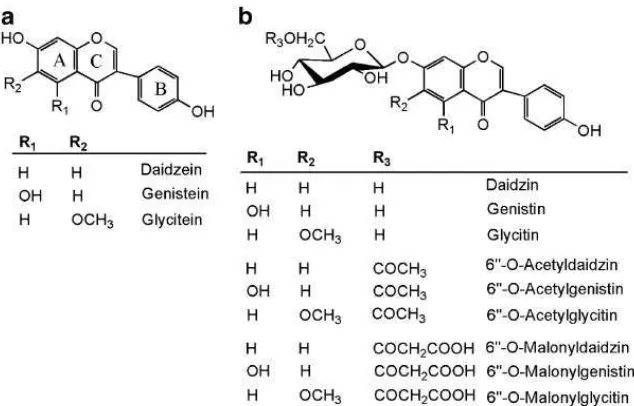 Gambar 1. Struktur Kimia Isoflavon Aglikon (a) dan Isoflavon Glukosida (b) 