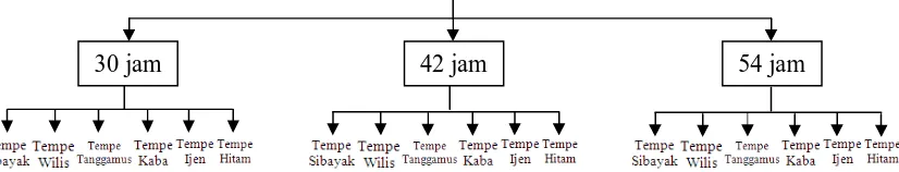 Gambar 3. Diagram Alir Pembuatan Tempe Kedelai Tahap-tahap pembuatan tempe dilakukan menurut metode Kasmidjo Sumber: Kasmidjo (1990) yang dimodifikasi dengan penelitian pendahuluan 