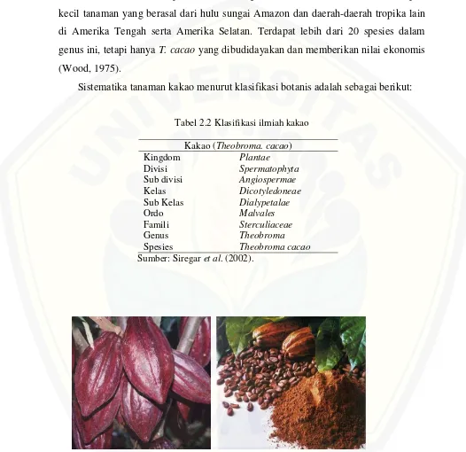 Tabel 2.2 Klasifikasi ilmiah kakao 
