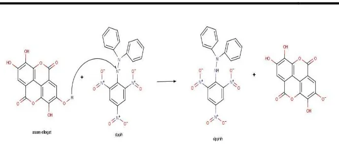 Figure 1. Inhibition of DPPH free radical reactions by ellagic acid into DPPH   