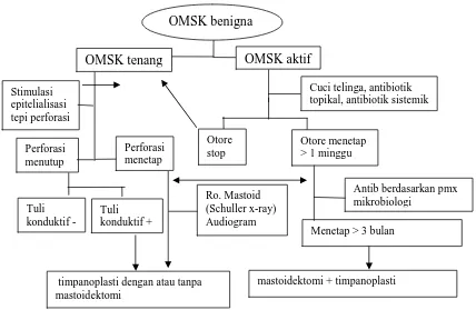 Gambar 2.4. Algoritma OMSK tipe Jinak (Sumber:Helmi, 2005)