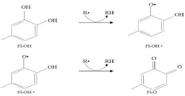 Gambar 2.3 Mekanisme kerja flavonoid (Sumber: Ridho, 2013) 