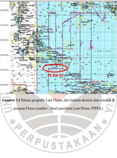 Gambar 3.2 Situasi geografis Laut Flores, dan lintasan akuisisi data seismik di 