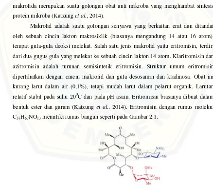 Gambar 2.1 Struktur kimia eritromisin (C37H67NO13) (Rosaleen et al, 2012)