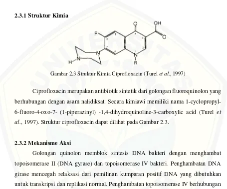 Gambar 2.3 Struktur Kimia Ciprofloxacin (Turel et al., 1997) 