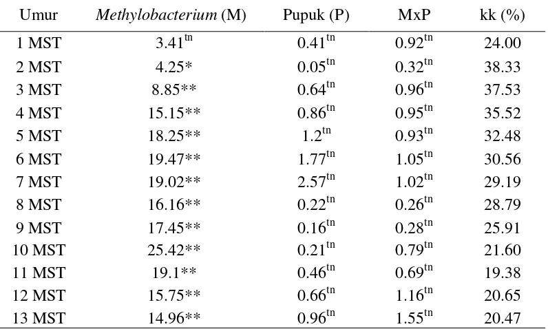 Tabel 1. Rekapitulasi Sidik Ragam Pengaruh Aplikasi Methylobacterium spp dan Pemupukan terhadap Tinggi Tanaman Cabai