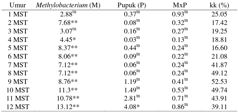 Tabel 3. Rekapitulasi Sidik Ragam Pengaruh Aplikasi Methylobacterium spp dan Pemupukan terhadap Jumlah Daun Cabai 