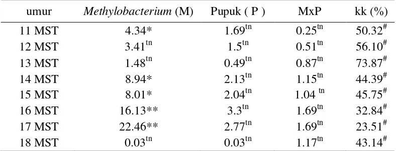 Tabel 7. Rekapitulasi Sidik Ragam Pengaruh Aplikasi Methylobacterium spp dan Pemupukan terhadap Jumlah Bunga Cabai 