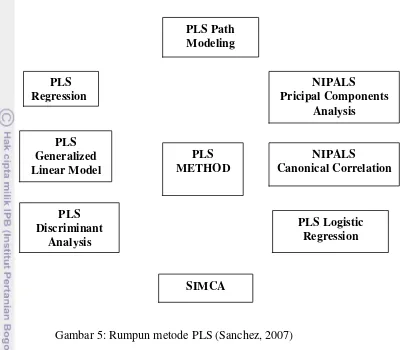 Gambar 5: Rumpun metode PLS (Sanchez, 2007) 