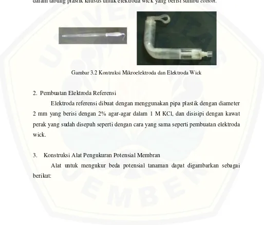 Gambar 3.2 Kontruksi Mikroelektroda dan Elektroda Wick  