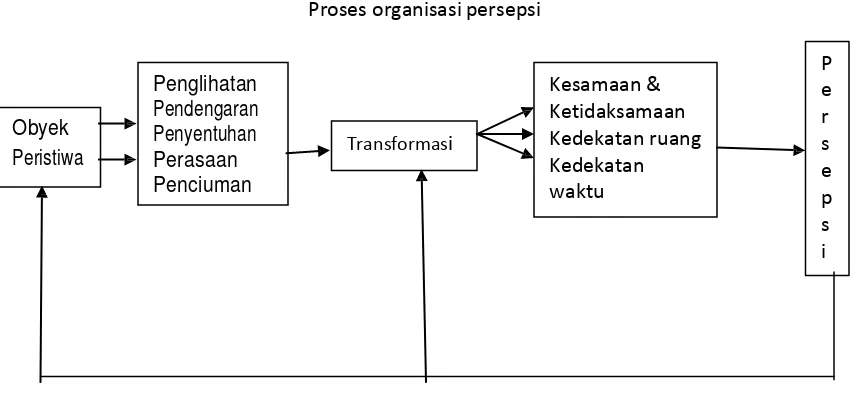 Gambar 4.2 Proses organisasi persepsi 