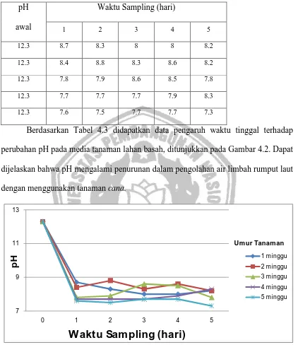 Tabel 4.3 Pengaruh Waktu Sampling dan Variasi Umur Tanaman terhadap pH. 