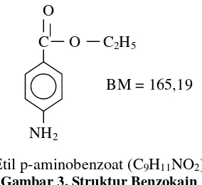 Gambar 3. Struktur Benzokain