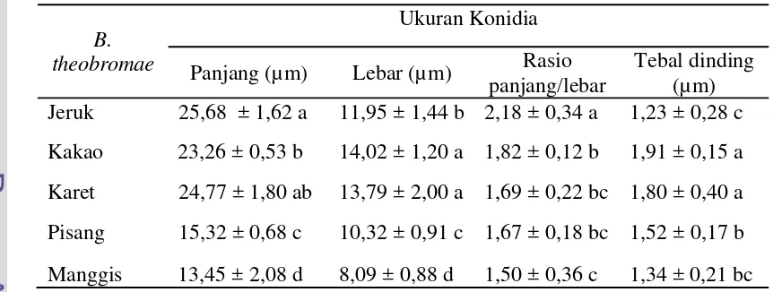 Tabel 2  Ukuran panjang, lebar, dan tebal dinding konidia muda cendawan B. theobromae pada lima tanaman inang  
